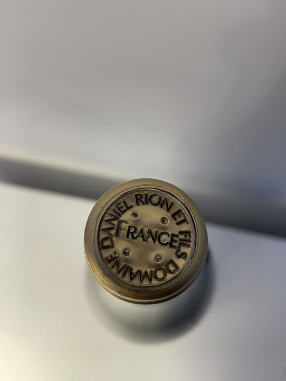 Domaine Daniel Rion & Fils, Nuits-Saint-Georges Premier Cru, Clos des Argillieres