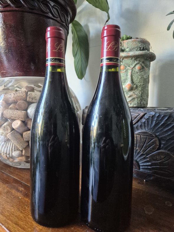 Gevrey Chambertin Domain Lucien Boilot & Fils 1997
