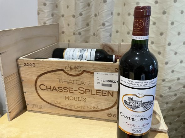 Chateau Chasse-Spleen, Moulis en Medoc