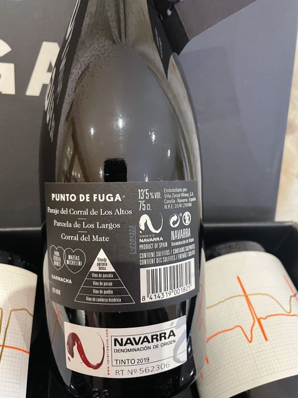 Zorzal, Punto de Fuga, Corral de Mate 2019