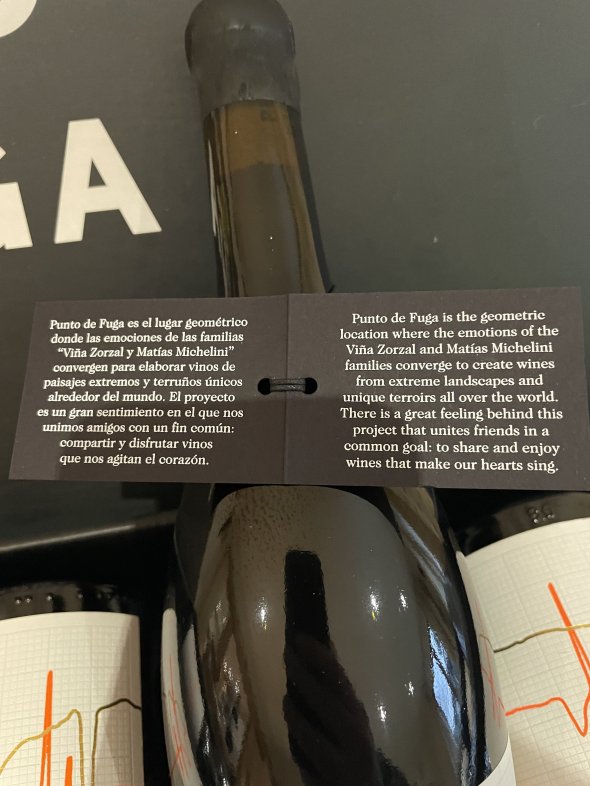 Zorzal, Punto de Fuga, Corral de Mate 2019