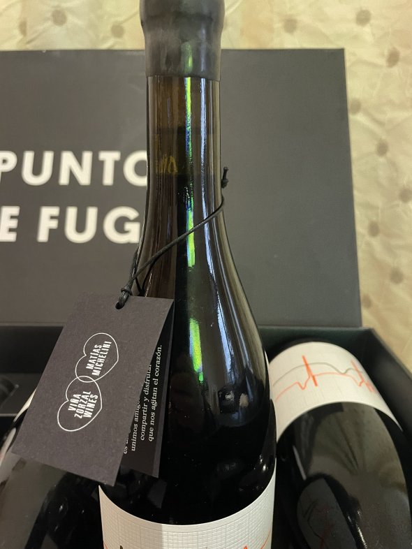 Zorzal, Punto de Fuga, Corral de Mate 2019