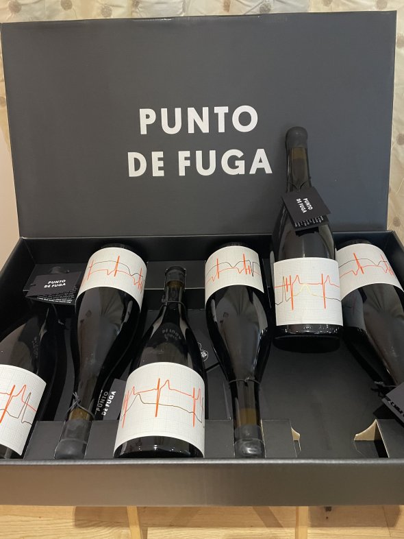 Zorzal, Punto de Fuga, Corral de Mate 2019