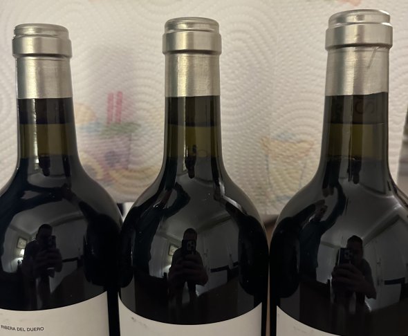 Dominio de Pingus, Flor Pingus, Ribera del Duero DO