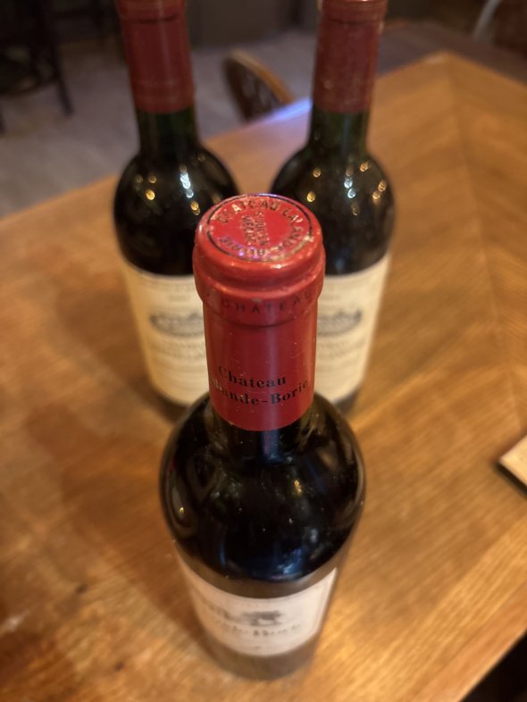 Chateau Lalande-Borie, Saint-Julien