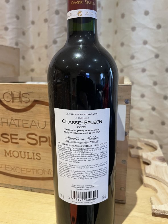 Chateau Chasse-Spleen, Moulis en Medoc