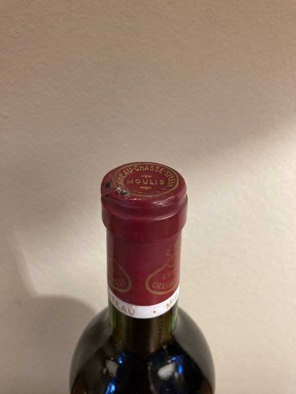 Chateau Chasse-Spleen, Moulis en Medoc