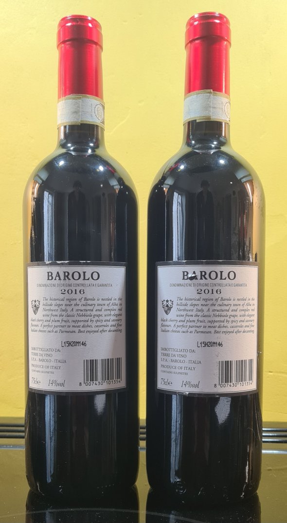 Vendemmia TerreDavino Barolo