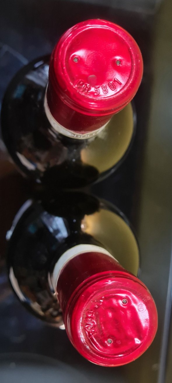 Vendemmia TerreDavino Barolo