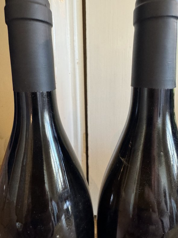 Donna Olipmpia 1898 Bolgheri Bianco