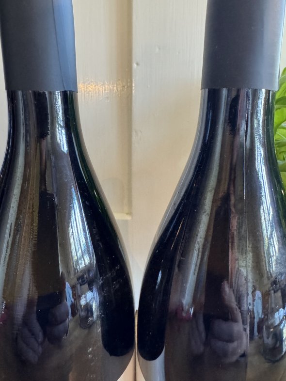 Donna Olipmpia 1898 Bolgheri Bianco