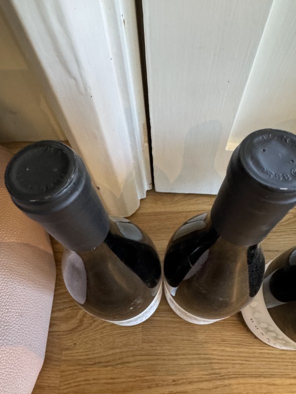 Donna Olipmpia 1898 Bolgheri Bianco