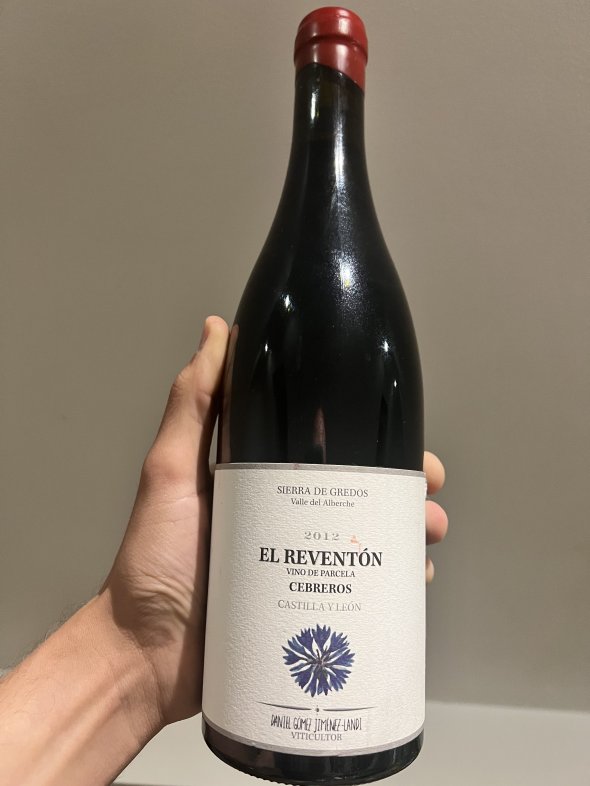 El Revent&oacute;n, Cebreros, Daniel Landi