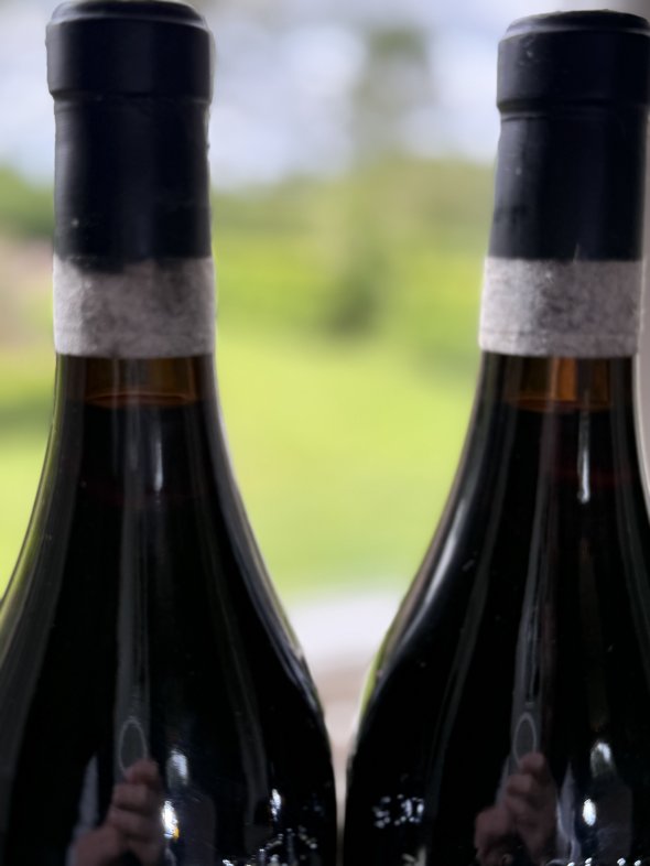 Elio Grasso, Barolo, Runcot Riserva