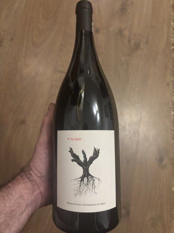 Dominio de Pingus, Psi, Ribera del Duero Magnum DO 93+ WA