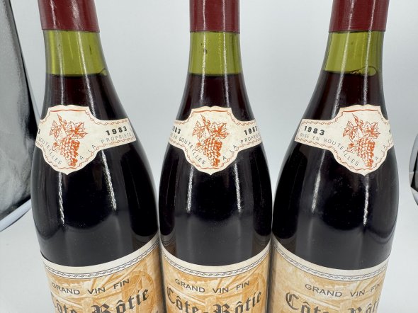 Benjamin et David Duclaux, Cote Rotie