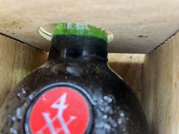 Taylor's 1981 Late Bottle Vintage Port Magnum