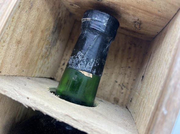 Taylor's 1981 Late Bottle Vintage Port Magnum