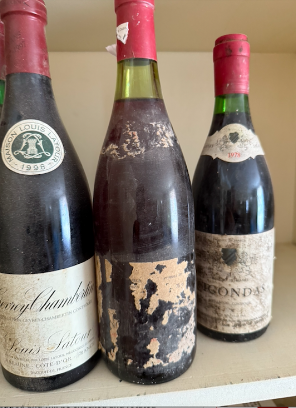 mixed mystery burgundy x 6