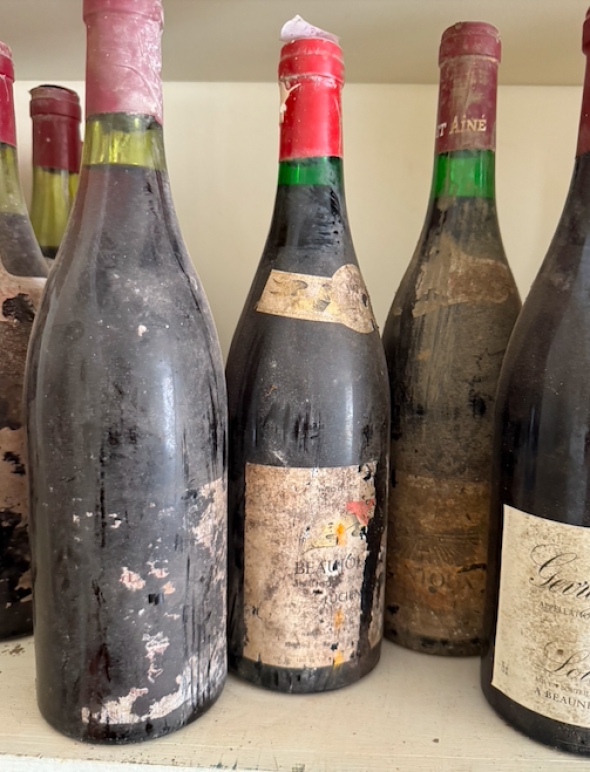 mixed mystery burgundy x 6