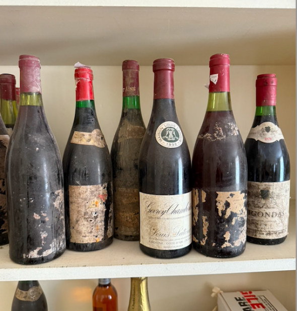 mixed mystery burgundy x 6