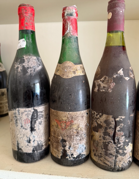 more mystery rhone valley / burgundy x 6