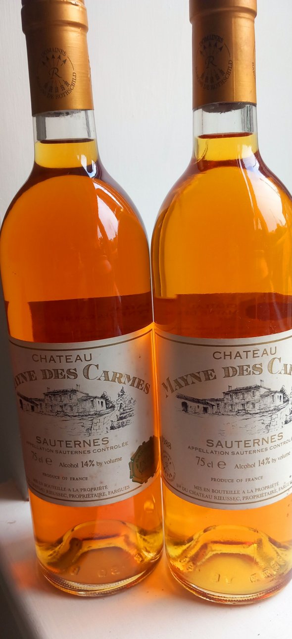 Chateau Mayne Des Carmes