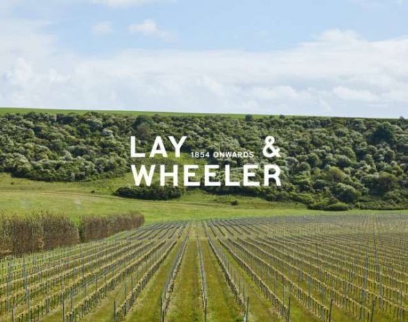 3 mature Loire whites: Pouilly-Fum&eacute; Cyll&egrave;ne, Sancerre Les Celliers Saint-Romble, Quincy Haute Victoire, Henri Bourgeois