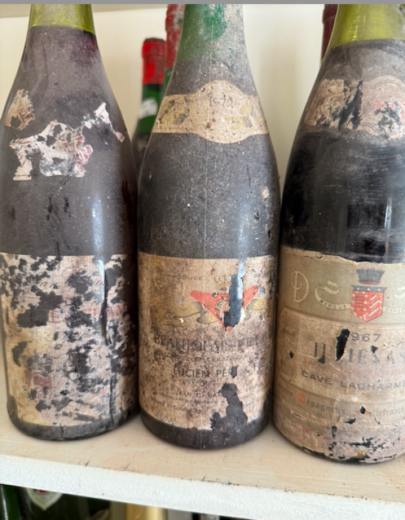 mixed rhone valley /burgundy wines x 5