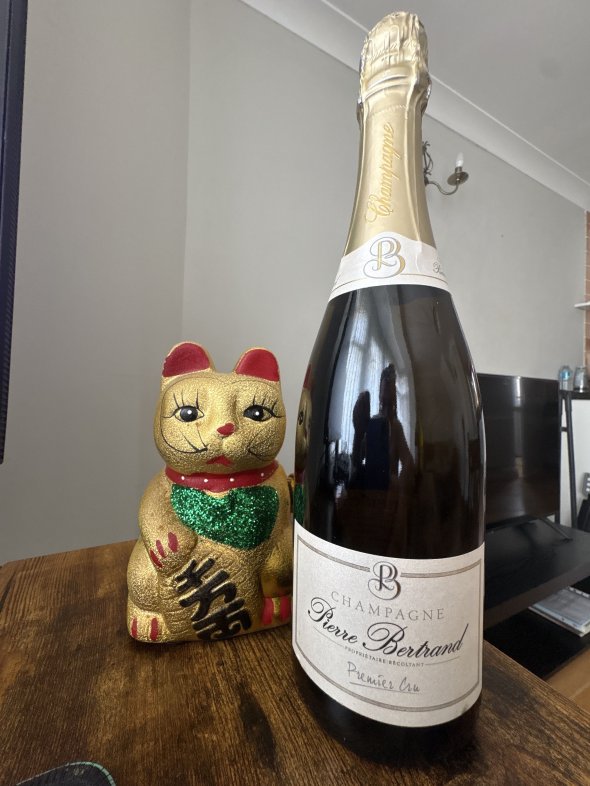 Champagne Pierre Bertrand, Brut Premier Cru ch