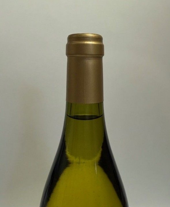Domaine Daniel Rion & Fils, Nuits-Saint-Georges Premier Cru, Les Terres Blanches