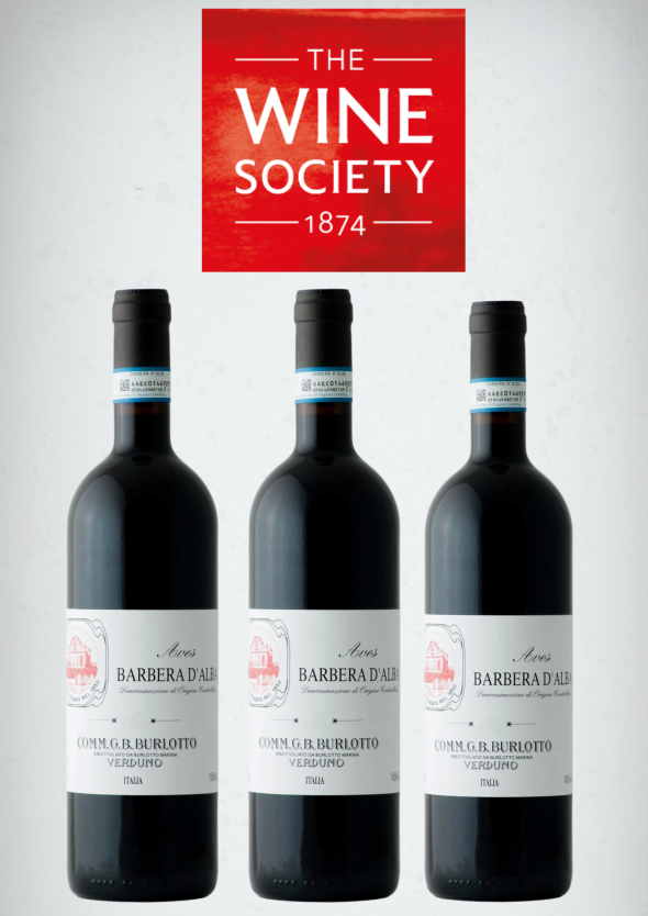 Comm. G.B. Burlotto, Barbera d'Alba, Aves