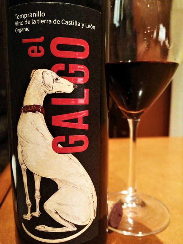 Sara Rivera, El Galgo, Castilla y Leon