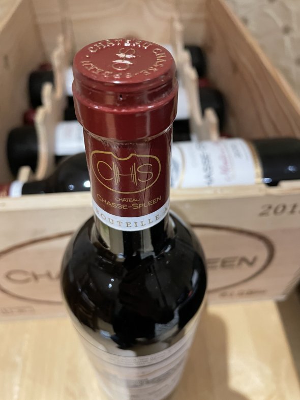 Chateau Chasse-Spleen, Moulis en Medoc