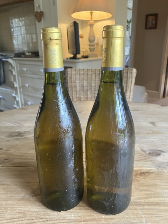 Les Vieillottes Pouilly fume 