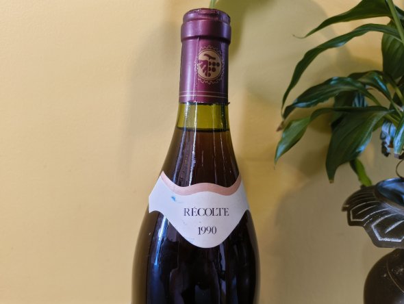 Celliers Des Samsons Beaujolais nouveau 1990