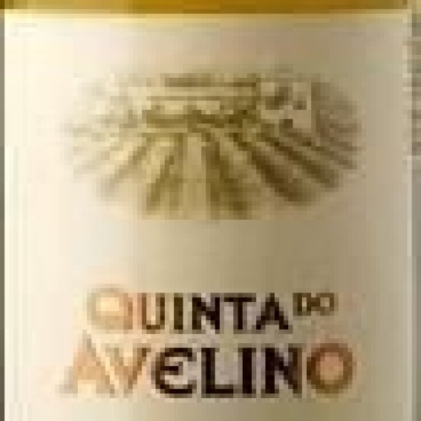 Quinta Do Avellino