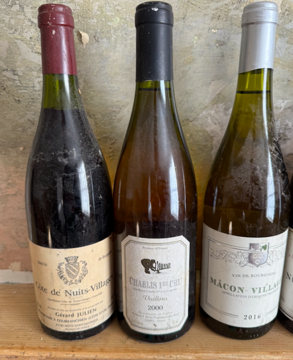 mixed burgundian bin enders x 6