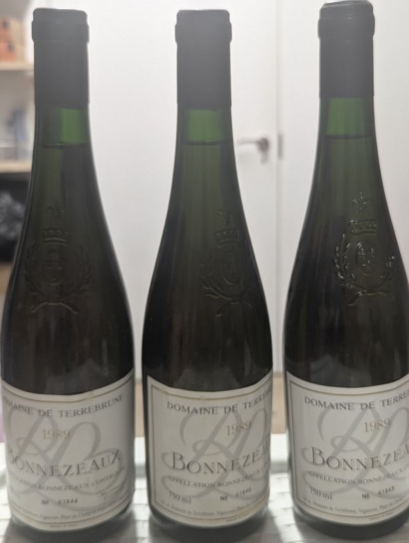 Terrebrune, Bonnezeaux