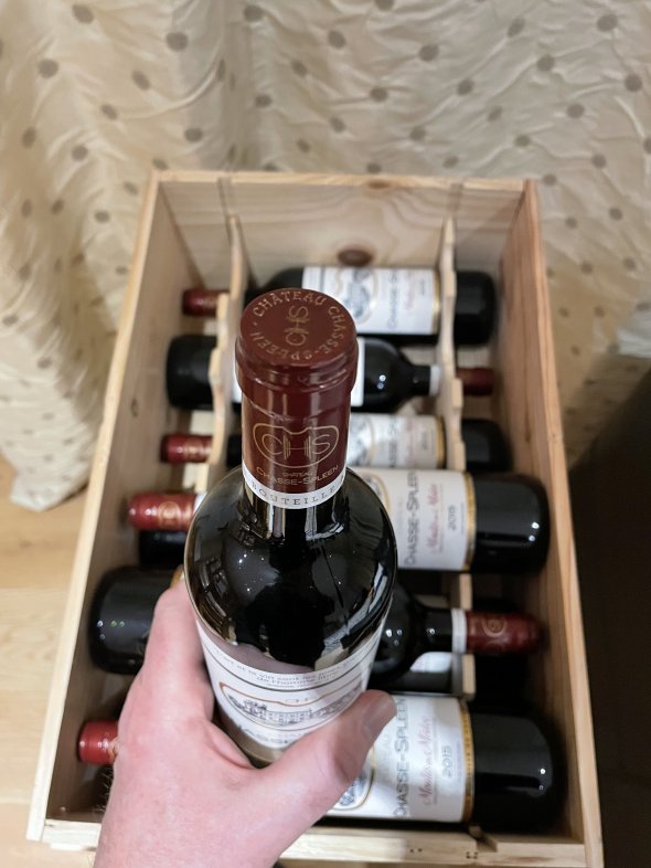 Chateau Chasse-Spleen, Moulis en Medoc