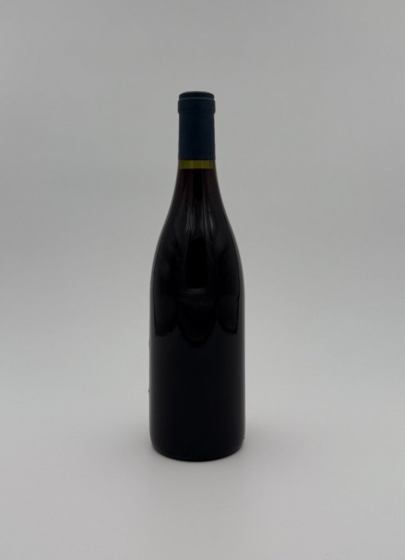 Domaine Anne-Francoise Gros, Savigny-les-Beaune Premier Cru, Clos des Guettes