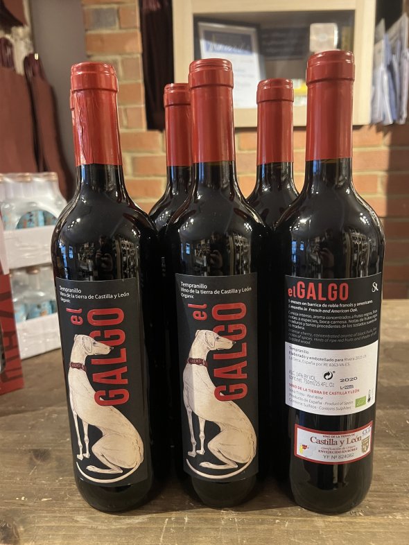 Sara Rivera, El Galgo, Castilla y Leon