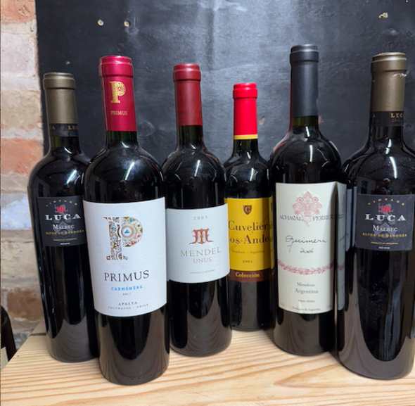 south american selection x 6