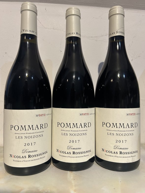 Pommard "Noizons" Domaine Nicolas Rossignol