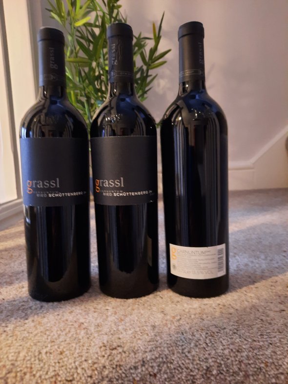 Zweigelt.Carnuntum Ried,Schutteburg