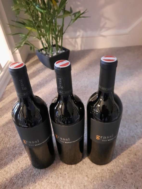 Zweigelt.Carnuntum Ried,Schutteburg