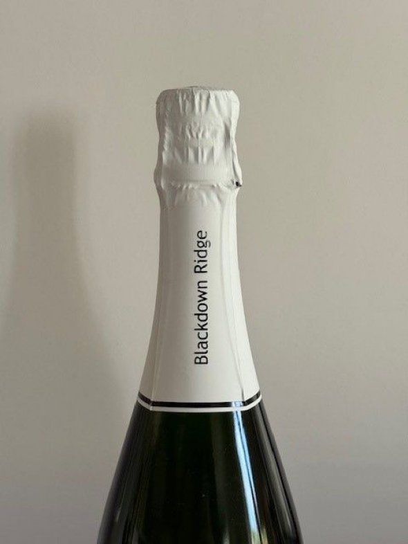 Blackdown Ridge, Vintage Classic Cuvee Brut, England