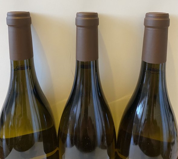 Guilhem et Jean-Hugues Goisot, Bourgogne Aligote
