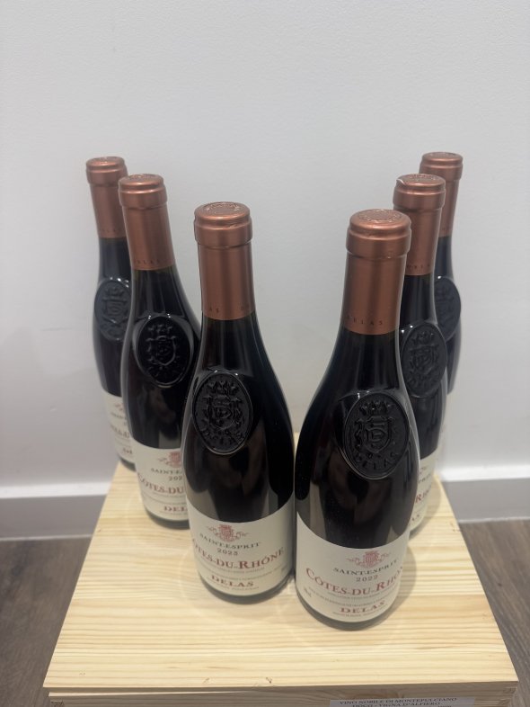 Delas, Cotes du Rhone, Esprit