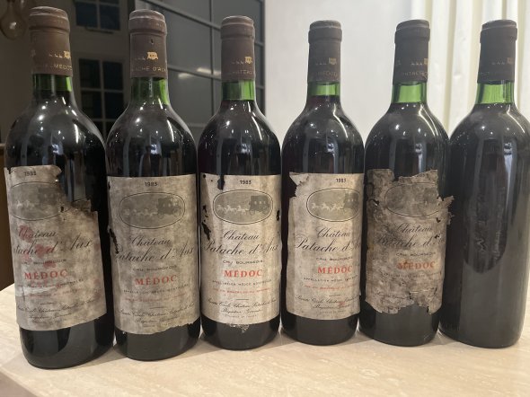 Chateau Patache d'Aux, Medoc